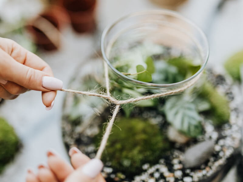 Hands tying string around glass terrarium